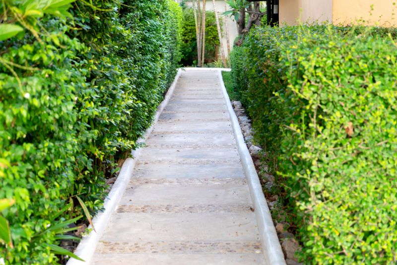 Walkway Repair in Des Moines, IA